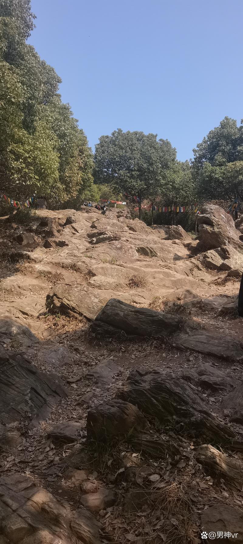 ������Ů����������