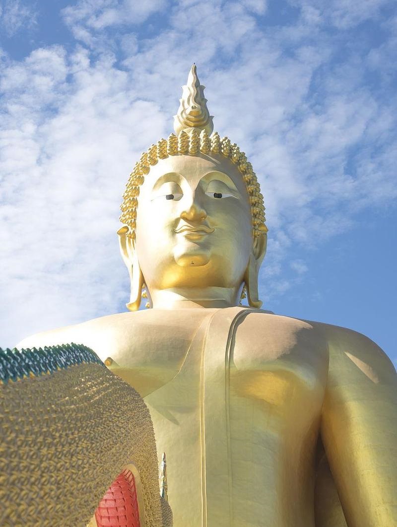 ������Ļ�������