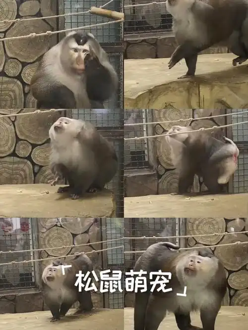 �������ȵ���լ��ˮ��ɽ