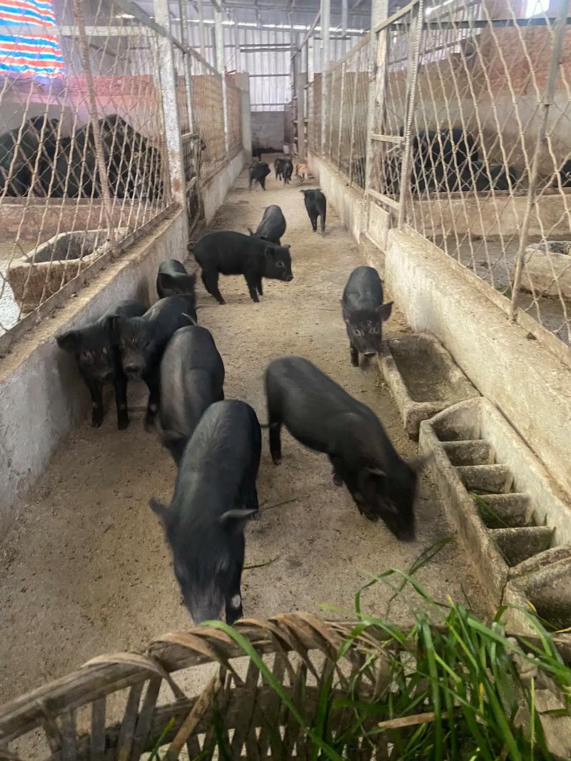 ���ߵ�����,��ͬ����������˵�����