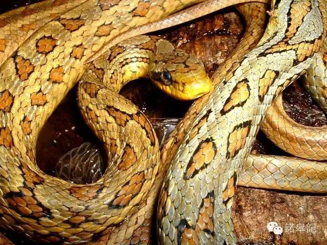 ƴƽʮǩ_η˵(ƴƽʮǩηʱƽ)