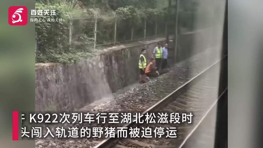 何冰主演的电视剧大全分界线 何冰主演的电视剧大全分界线