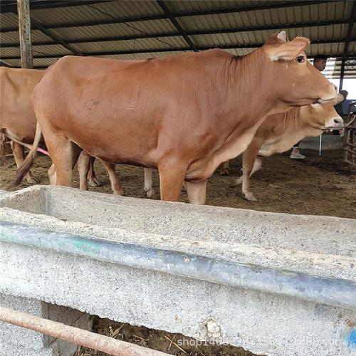 如何判定别墅风水 如何判定别墅风水