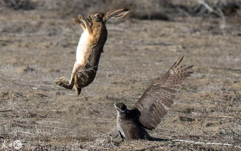 卫生间管道装修风水禁忌卫生间装修风水禁忌有哪些卫生间装修风水禁忌有哪些 卫生间管道装修风水禁忌卫生间装修风水禁忌有哪些卫生间装修风水禁忌有哪些
