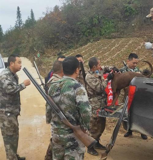 公司养殖风水鱼 公司养殖风水鱼