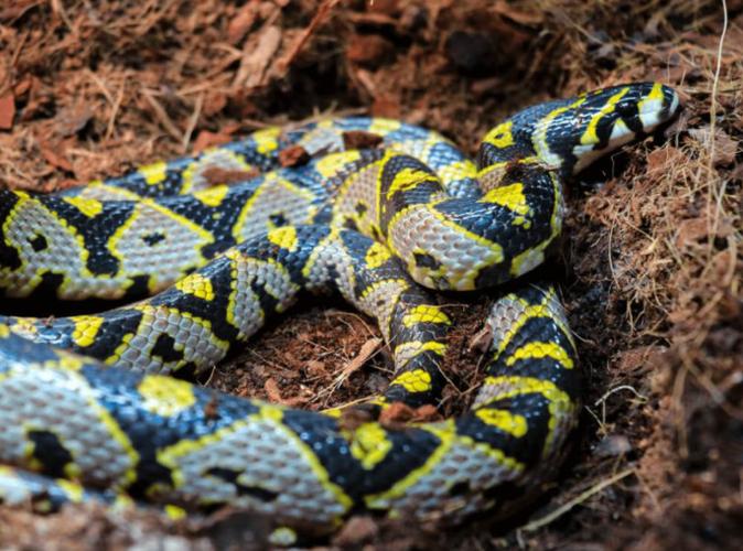 商品楼房子风水怎么看 商品楼房子风水怎么看