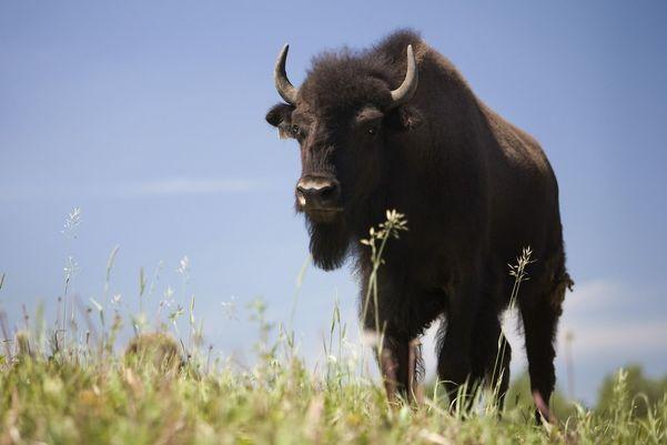 双子座男生有哪些缺点 双子座男生有哪些缺点