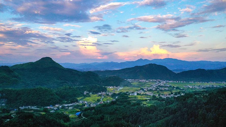 有才能的手相女人 有才能的手相女人