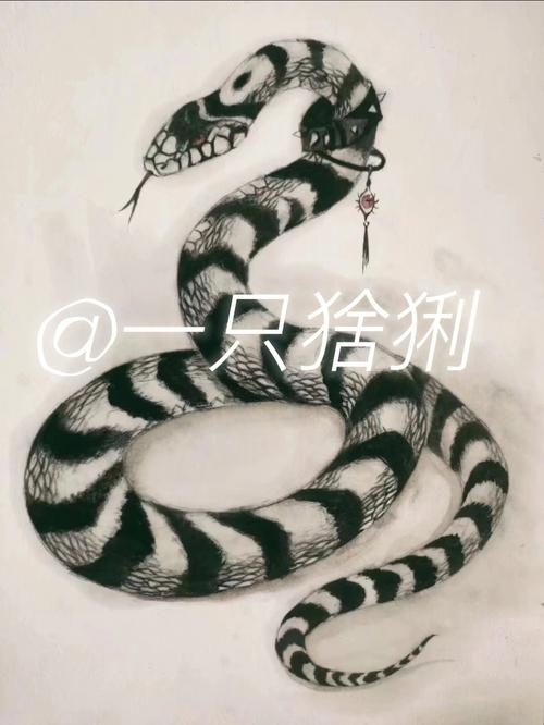 �������ţ����� ��ţ�������������