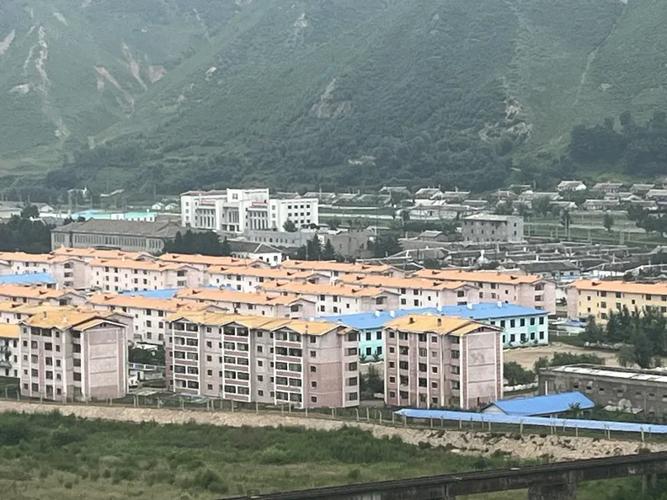 2025年生肖鸡运势详情 2025年生肖鸡运势详情