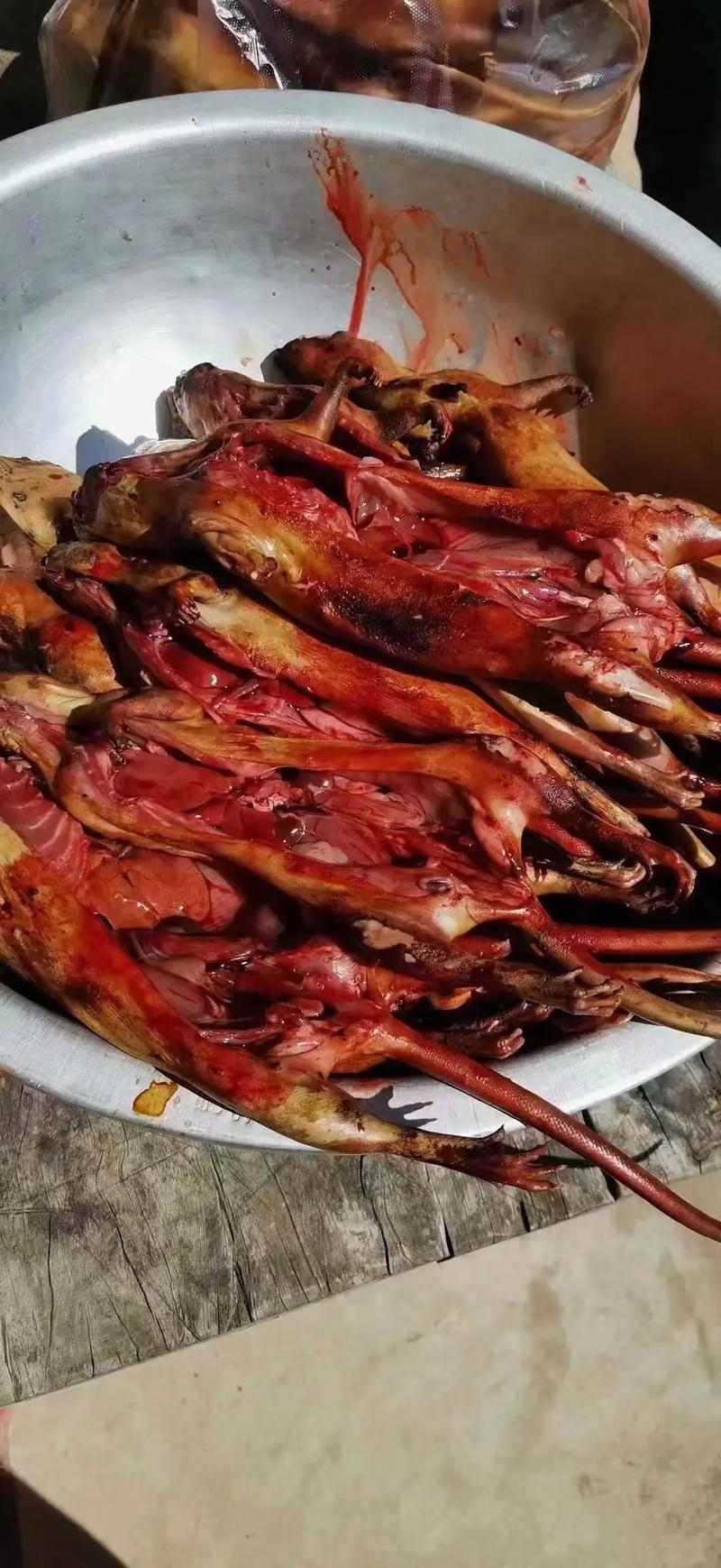 阴宅左旗右鼓案例 阴宅左旗右鼓案例