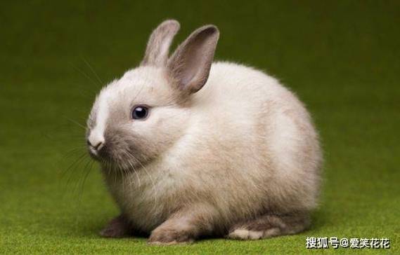 2026年3月安门吉日 2026年3月安门吉日