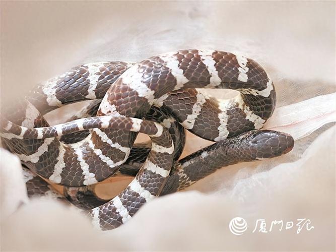 阴宅中的凹风煞如何化解 阴宅中的凹风煞如何化解