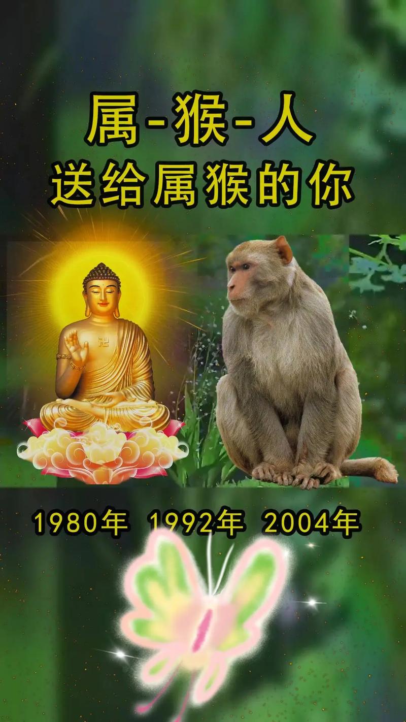 爱情公寓林宛瑜、爱情公寓林宛瑜为什么要走 爱情公寓林宛瑜、爱情公寓林宛瑜为什么要走