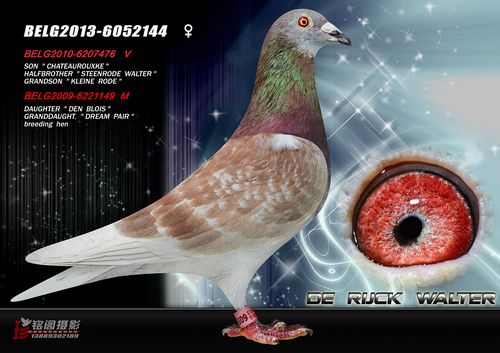 吕祖灵签65签解_事业发展为何前景不明(吕祖灵签65签解_职业发展是否顺遂) 吕祖灵签65签解_事业发展为何前景不明(吕祖灵签65签解_职业发展是否顺遂)