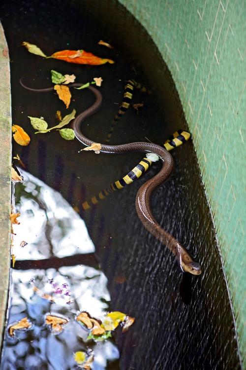 ŮεöʲôԤ_ѻŮμöʲôԢ