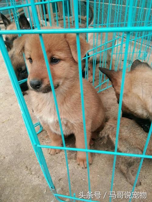 ǷӰֻ̽̽עԳɹĸʣһǱڵӰʲô