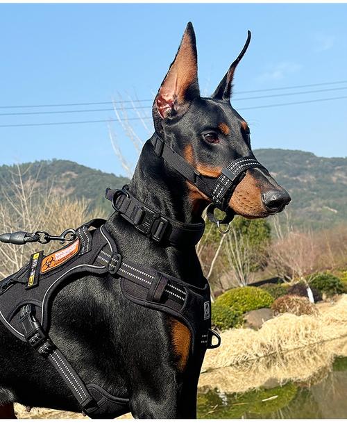 老版佛祖灵签为何恋爱屡屡受挫(老版佛祖灵签中恋爱失败的预兆是否真的存在) 老版佛祖灵签为何恋爱屡屡受挫(老版佛祖灵签中恋爱失败的预兆是否真的存在)