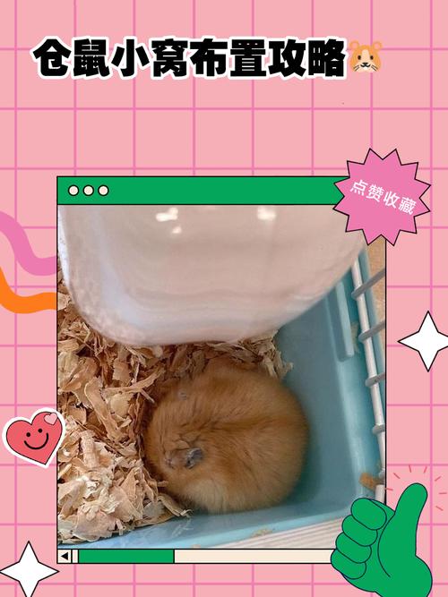 哈医大一院张苗苗简介 哈医大一院张苗苗简介