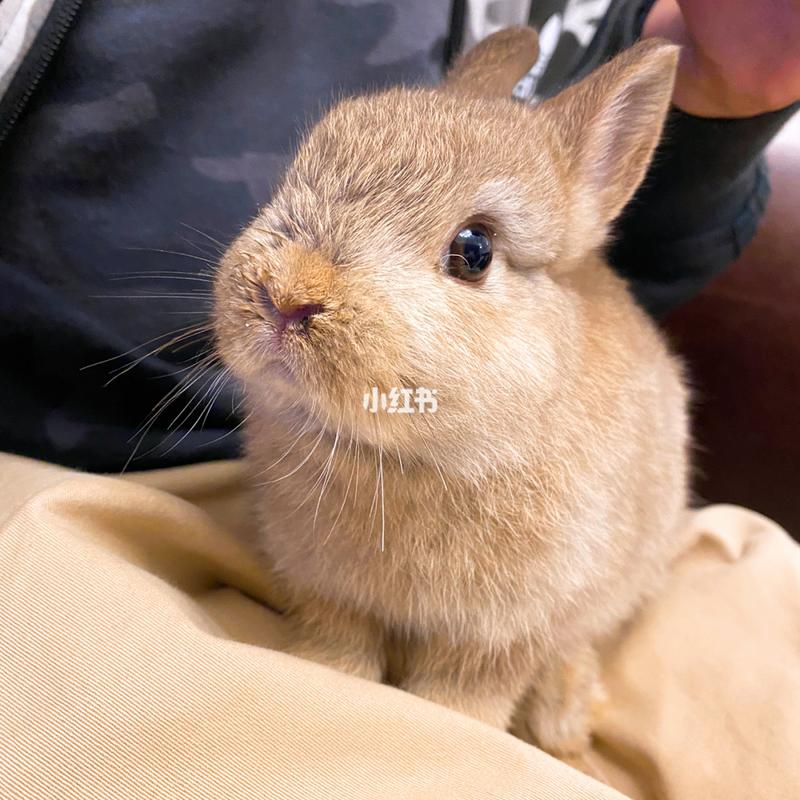 �������������������˽���������