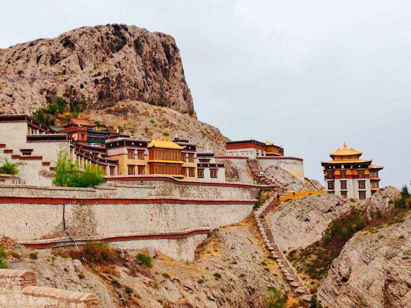 空气净化材料公司名字起名是否能影响我们的居住环境健康和美好未来(空气净化材料公司名字起名是否能如竹似的高大挺拔促进健康环境) 空气净化材料公司名字起名是否能影响我们的居住环境健康和美好未来(空气净化材料公司名字起名是否能如竹似的高大挺拔促进健康环境)