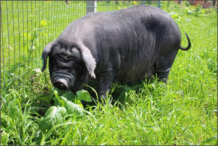 ǷӰļͥƱ仯(ǷӰǵļͥṹҸ)