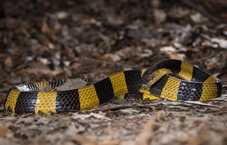 金币梦碎,抽奖之路也受阻 金币梦碎,抽奖之路也受阻