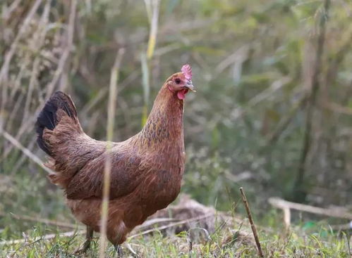 ������ˮ����֪ʶ�������ݼ���լ��ˮ֪ʶ�����