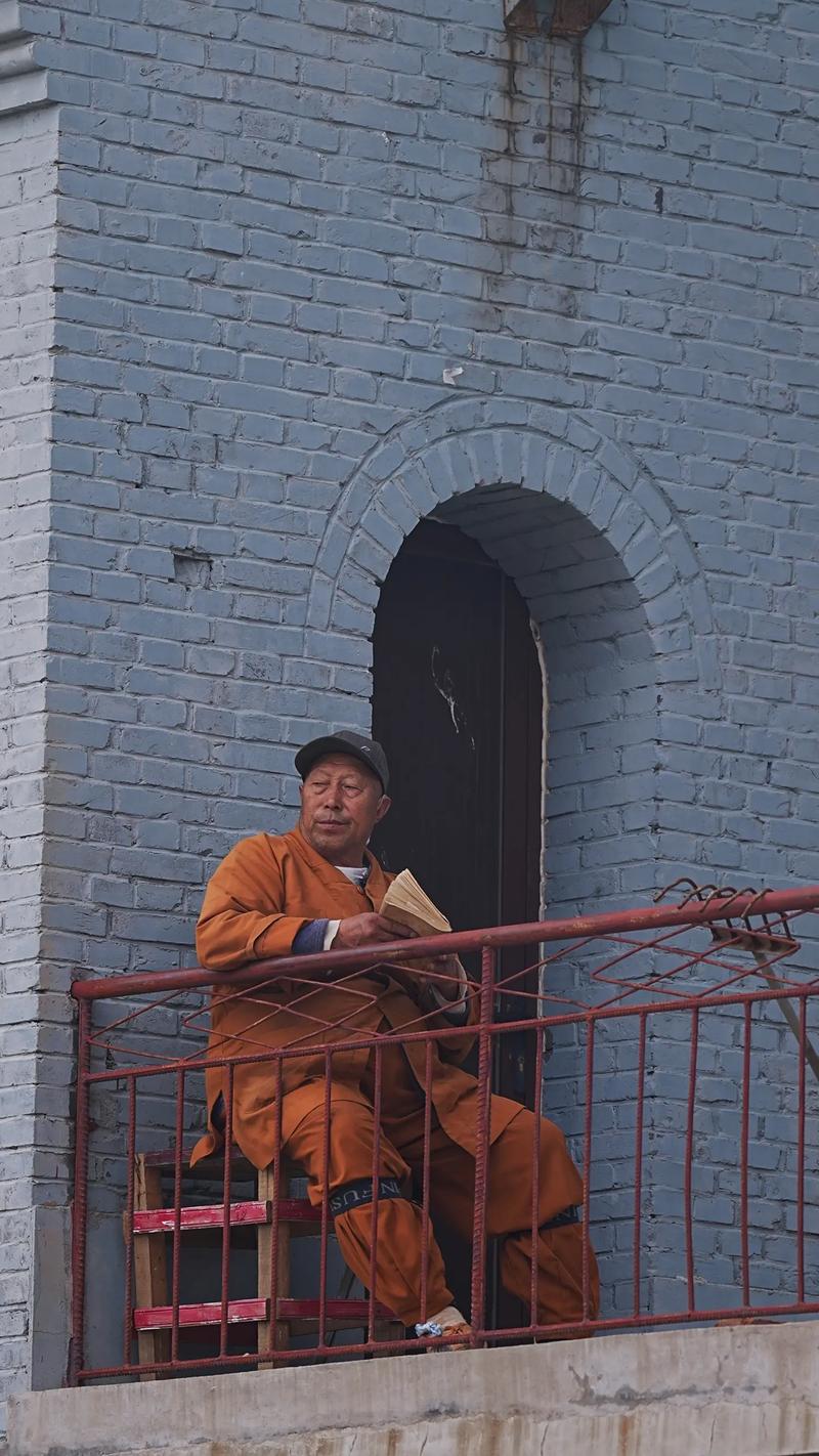 8��12���������루ʨ������