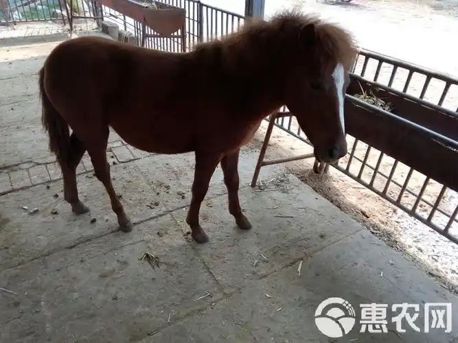 迪丽热巴的长相_迪丽热巴 长相 迪丽热巴的长相_迪丽热巴 长相