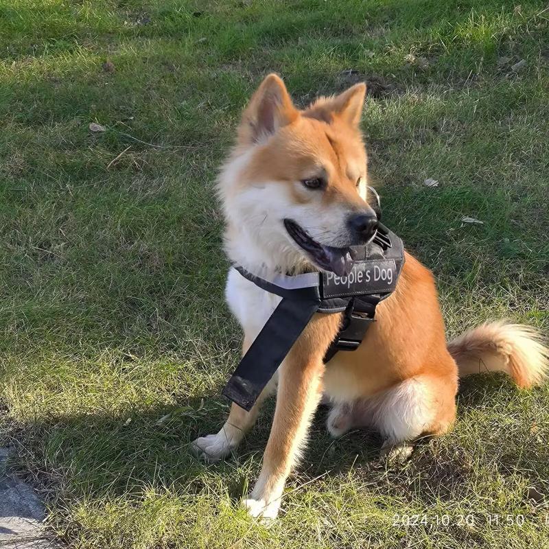 紫微斗数免费自助解盘 紫微斗数在线排盘 请 紫微斗数免费自助解盘 紫微斗数在线排盘 请