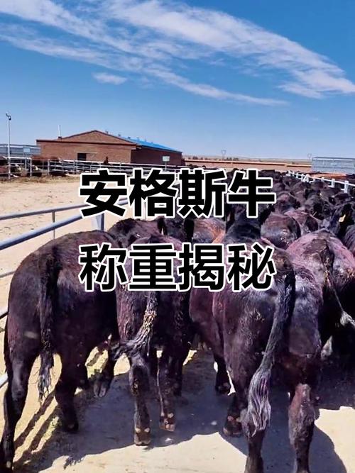 月老灵签10签 抽签 月老灵签10签 抽签