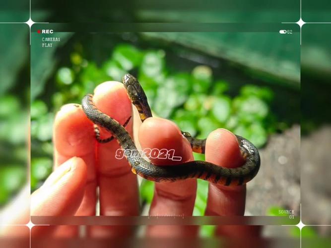 ������1976�������� 1976��������ʲô��