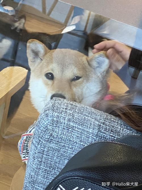 1972属鼠2025年运势 1972属鼠2025年运势