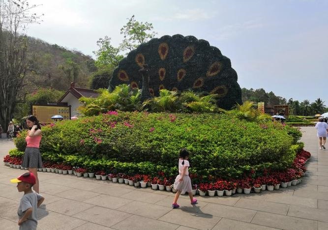 ѡ¥��Ӧ��ע��ʲô��ˮ