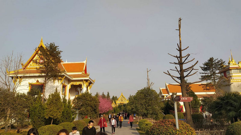 梦见捡菜 梦见办宴席很多人吃 梦见捡菜 梦见办宴席很多人吃