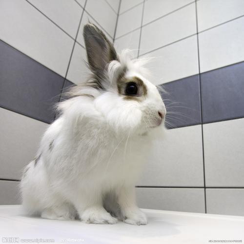 海棠依旧演员表电视剧《海棠依旧》 海棠依旧演员表电视剧《海棠依旧》