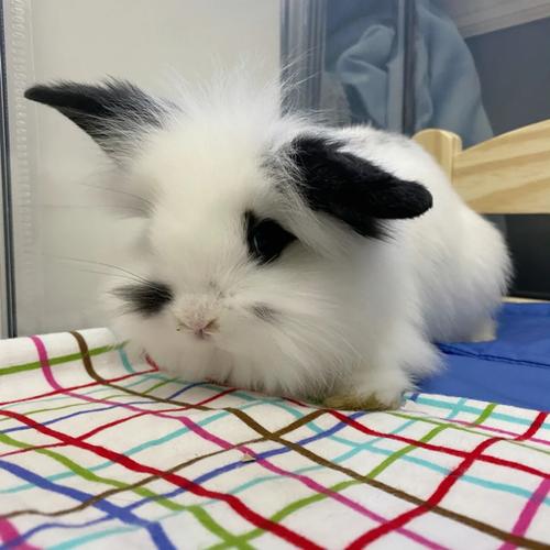 صǩǩ_еİȫкȥδ(صǩǩ_Ϊȱȫ)