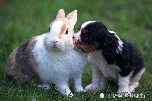 Ħ���ж�������˼�ı���