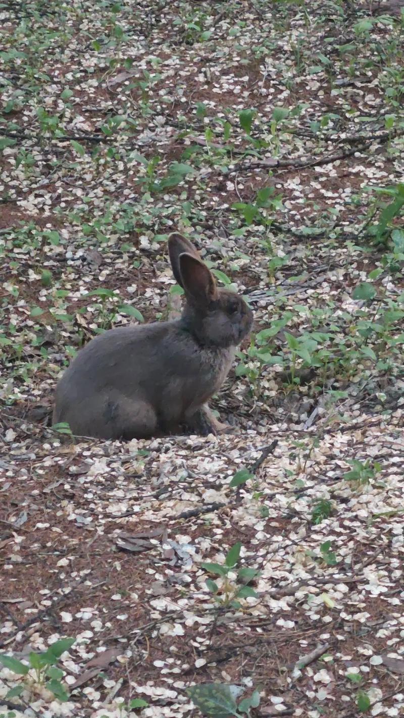 王一博家境很穷王一博如今大红大紫,他的家 王一博家境很穷王一博如今大红大紫,他的家
