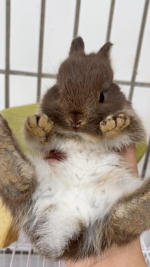 ���ü������ӷ�ˮ����