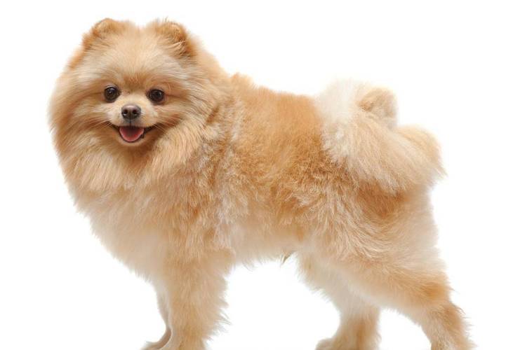 ����˫���뻧���ŷ�ˮ