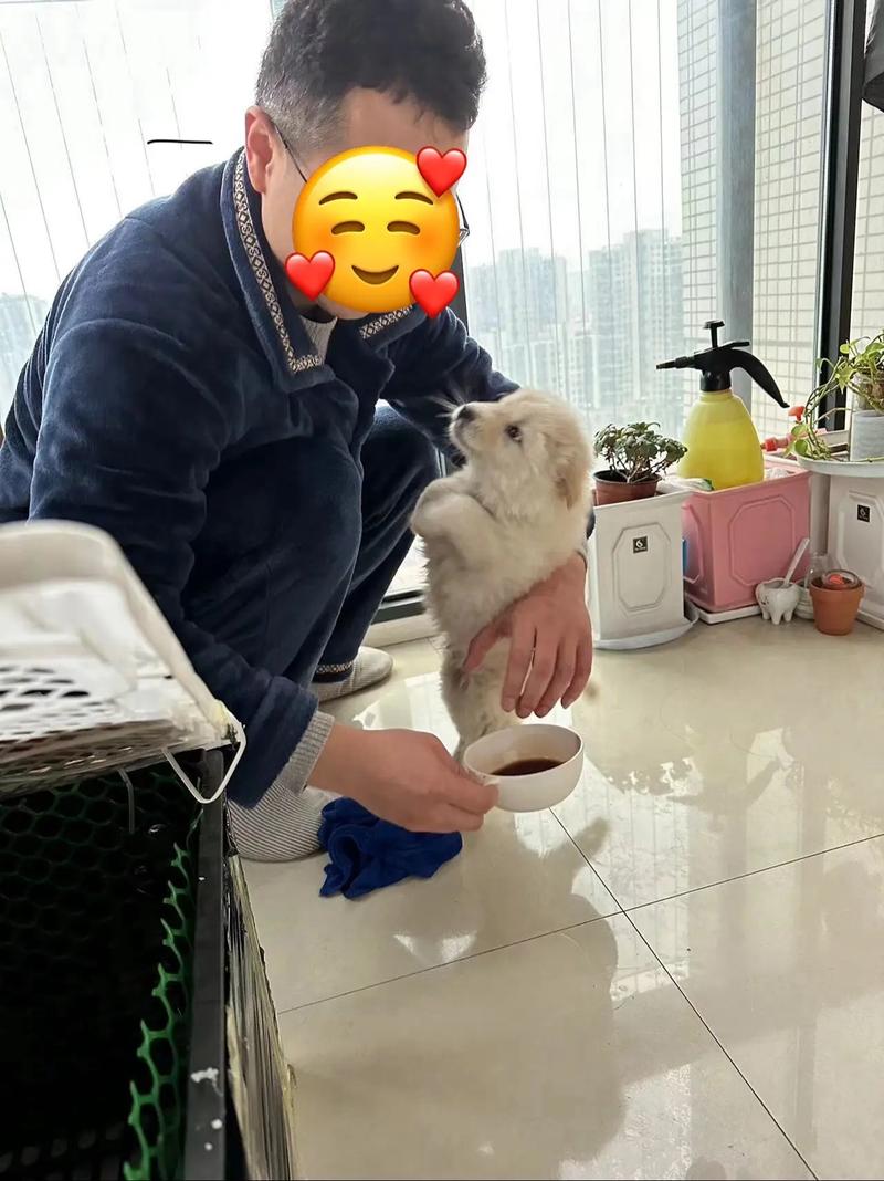 双鱼座男今年运势,属蛇双鱼座的男人今年运程 双鱼座男今年运势,属蛇双鱼座的男人今年运程