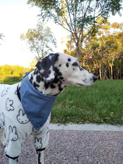 属马人2025年多大 90年属马的三大坎 属马人2025年多大 90年属马的三大坎