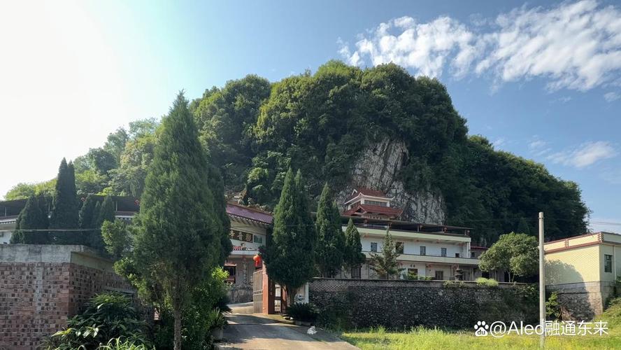 1952年属龙人寿命 1952属龙能活多久90岁 1952年属龙人寿命 1952属龙能活多久90岁