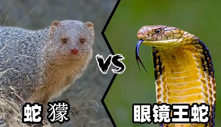 ��ȸ�ⲿ������Ҷ��ĵ���