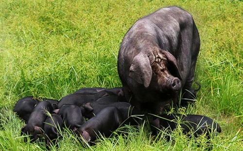 男人麻子脸面相 麻子脸的男人都是坏男人吗 男人麻子脸面相 麻子脸的男人都是坏男人吗