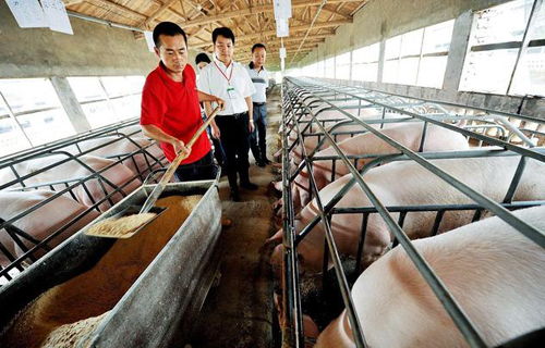 俞敏洪成功的原因农村娃高考三次上北大,狂 俞敏洪成功的原因农村娃高考三次上北大,狂