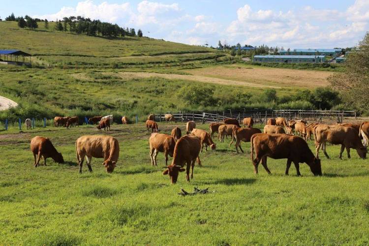 ǩǩǩ73δ(ǩǩǩ73δܴ)