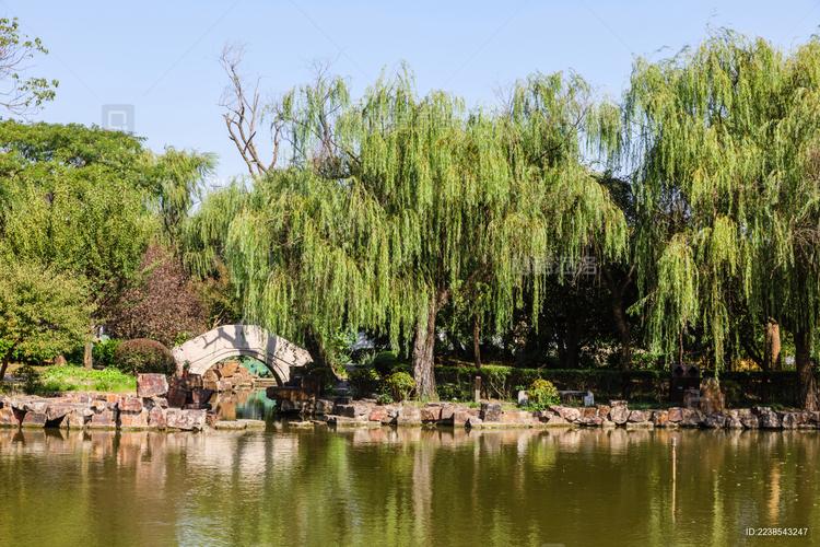 中国好歌曲3 中国好歌曲3在线观看 中国好歌曲3 中国好歌曲3在线观看